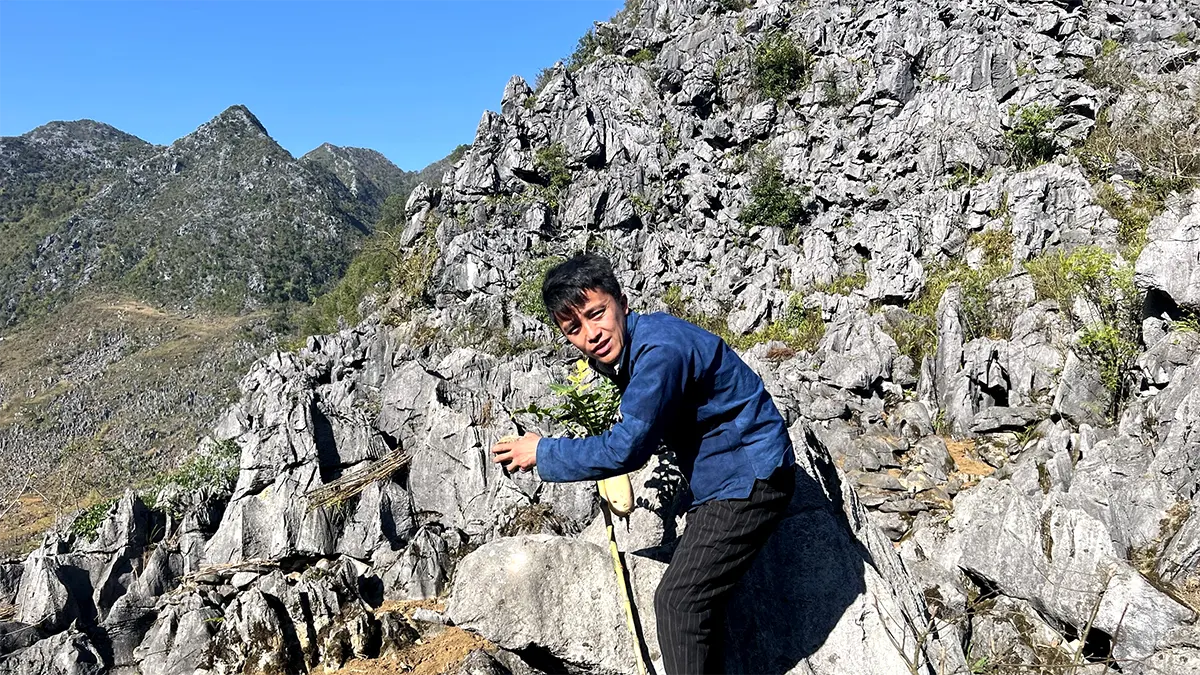 Đong Van - Ancient Town and Ethnic Cultures