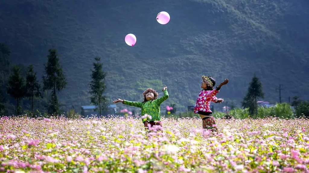 Ha Giang tourist destination stands out with separate cultural features