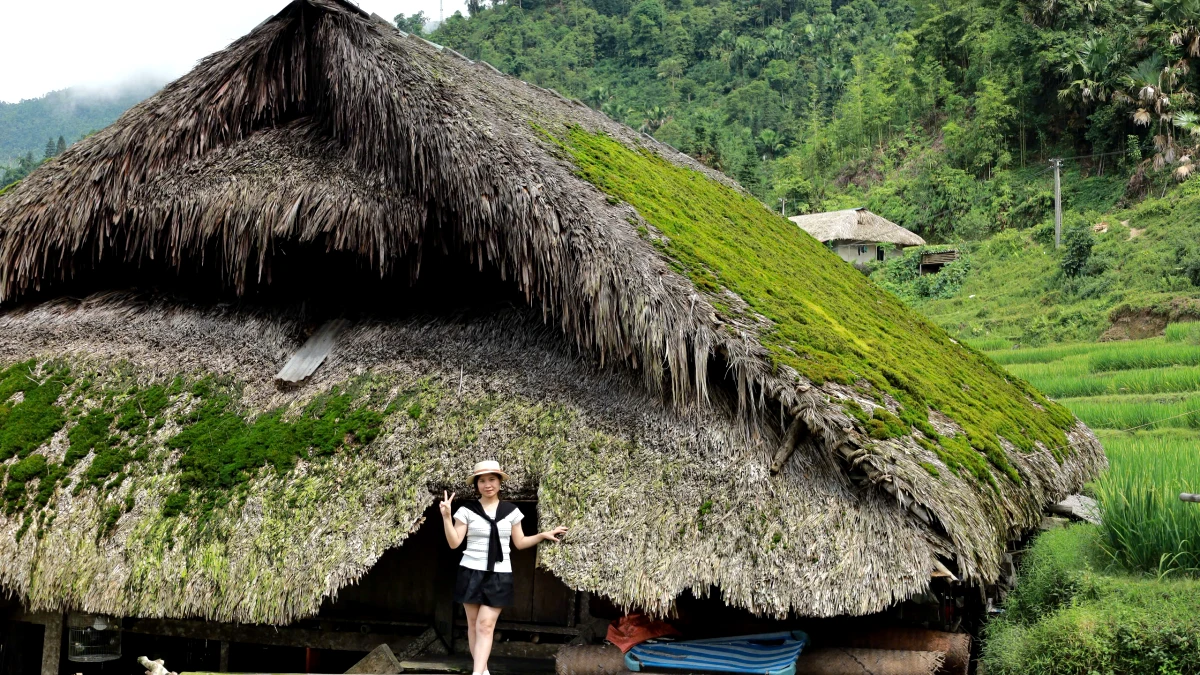 Mossy Roof Houses - Fairytales in Everyday Life