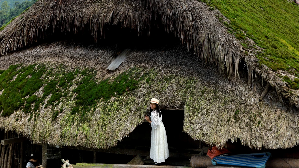 Xa Phin – The Hidden Gem of Terraced Rice Fields and Mossy Roof Houses near Ha Giang City