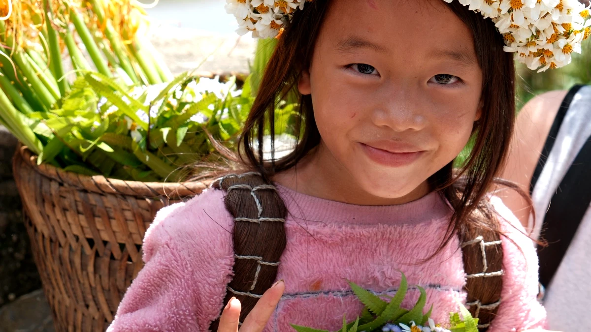 Ha Giang in Bloom - The Romance of Buckwheat Season