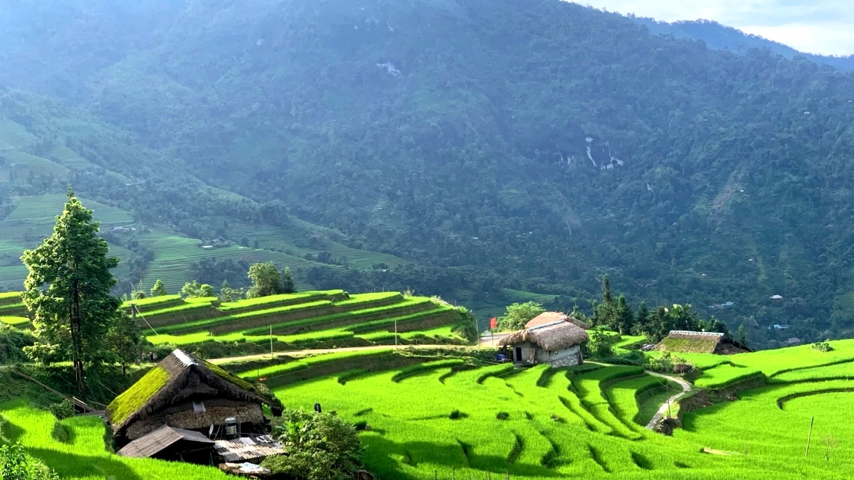 Golden Season in Ha Giang - When the Mountains Wear Their Finest Colors
